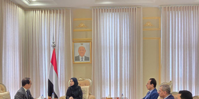 وزيرة التخطيط تبحث مع السفير الياباني تعزيز التعاون التنموي
